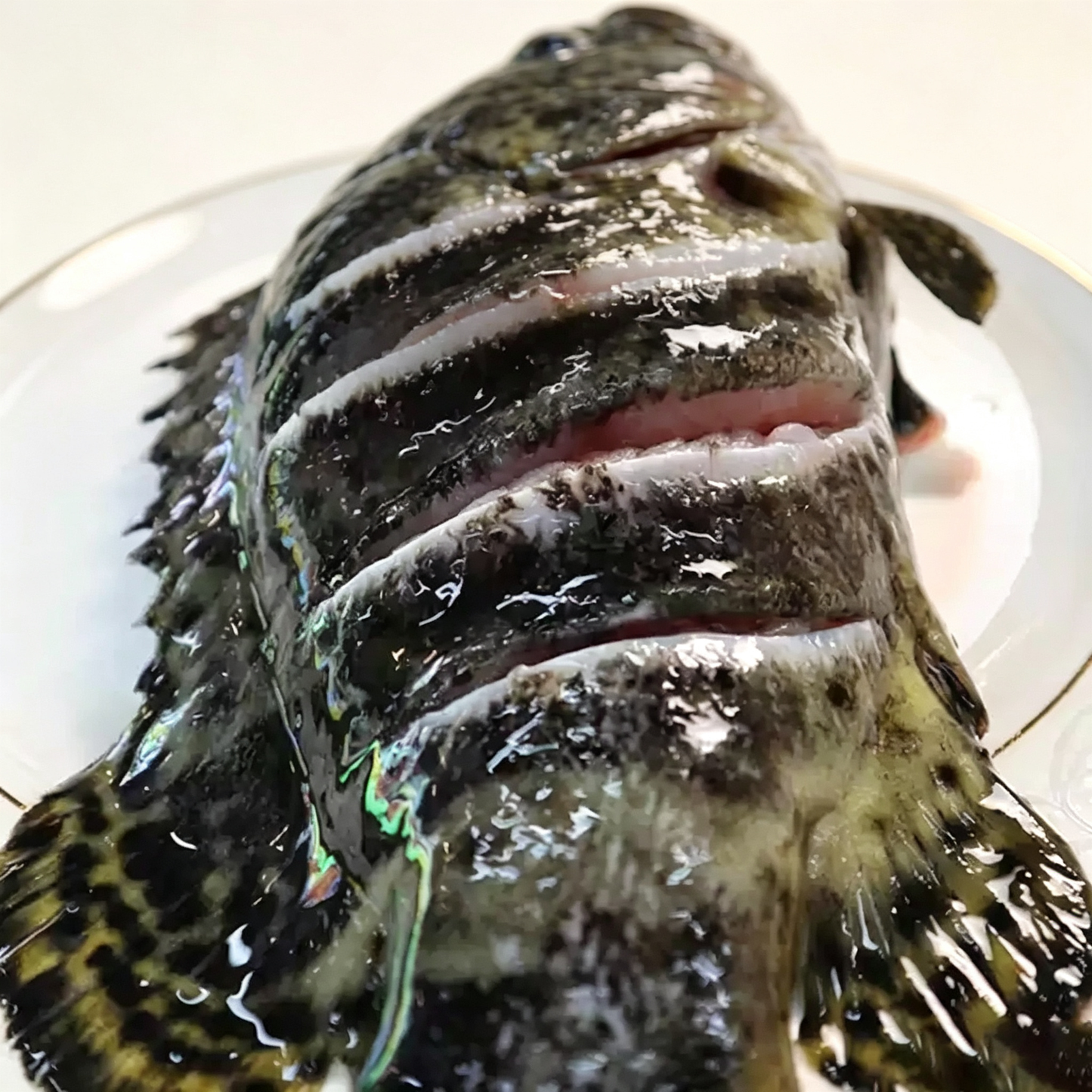 Frozen Whole Grouper